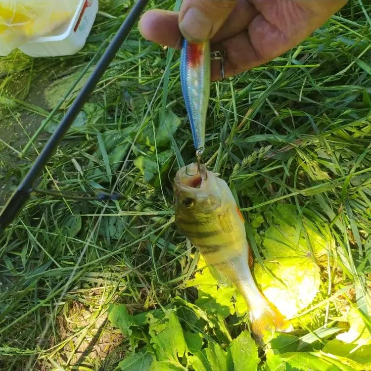 Minnow manivelle Wobbler Jerkbait leurre de pêche 8.8Cm 9G Isca artificiel Carkbait Wobblers Swimbai
