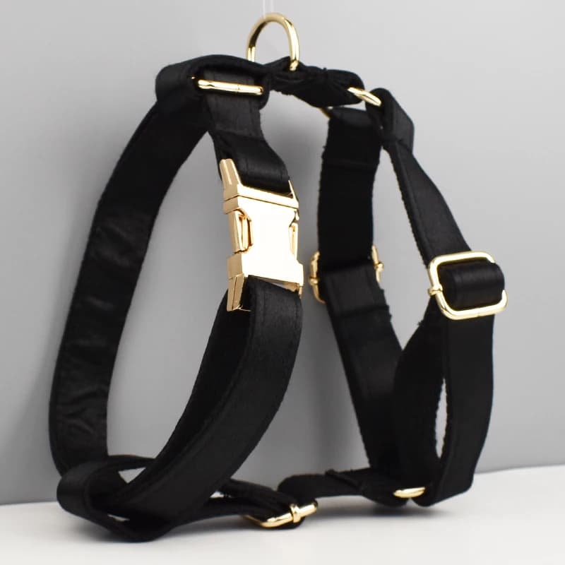 Accessoires pour animaux de compagnie : Ensemble collier, laisse et harnais en polyester soyeux de l