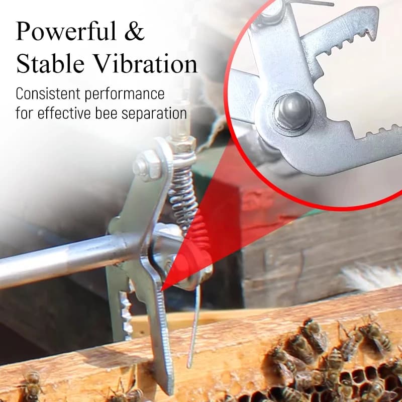 Machine à miel vibrante électrique, secoueur d'équation aste, cadre, outil d'apiculture, enlèvement,