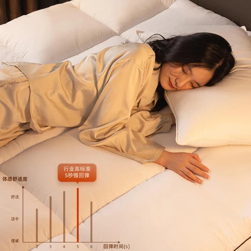 Matelas spécial d'hôtel, tapis de maison épais, lit simple, double, dortoir d'étudiants, location, m