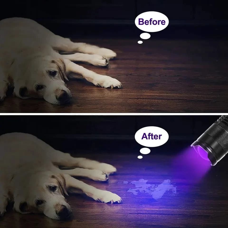 Lampe de poche LED UV portable, 365 nm, 395nm, mini torche ultraviolette, étanche, zoomable, verre, 