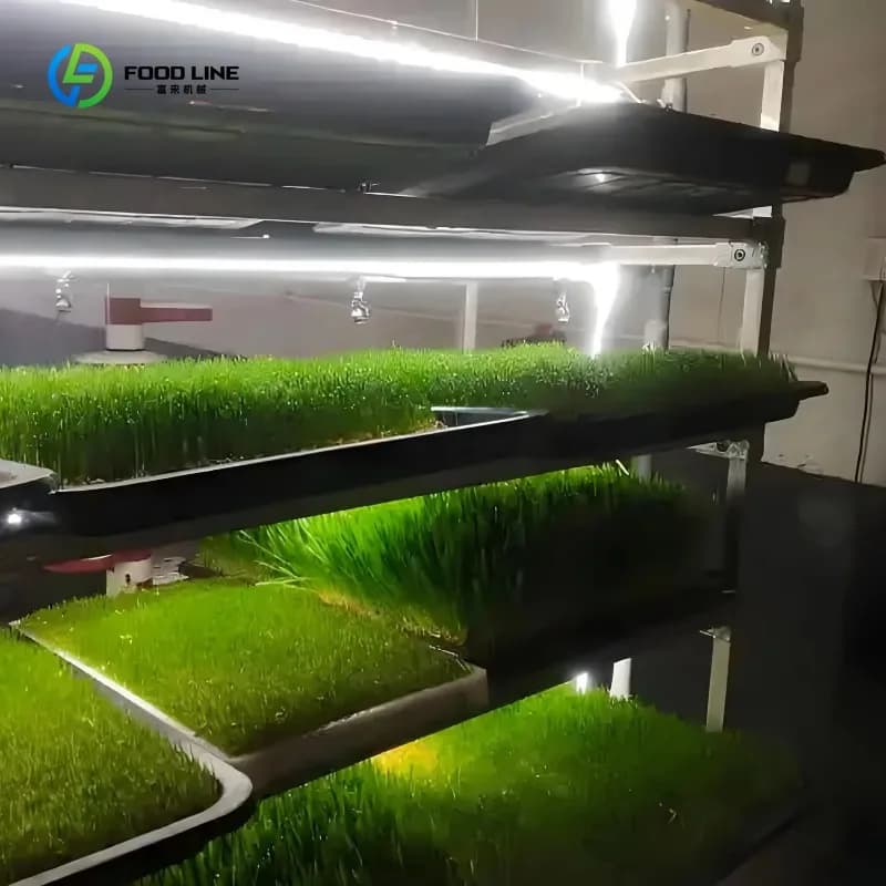 Système de culture hydroponique automatique de germinés d'orge pour aliments animaux avec plateaux v