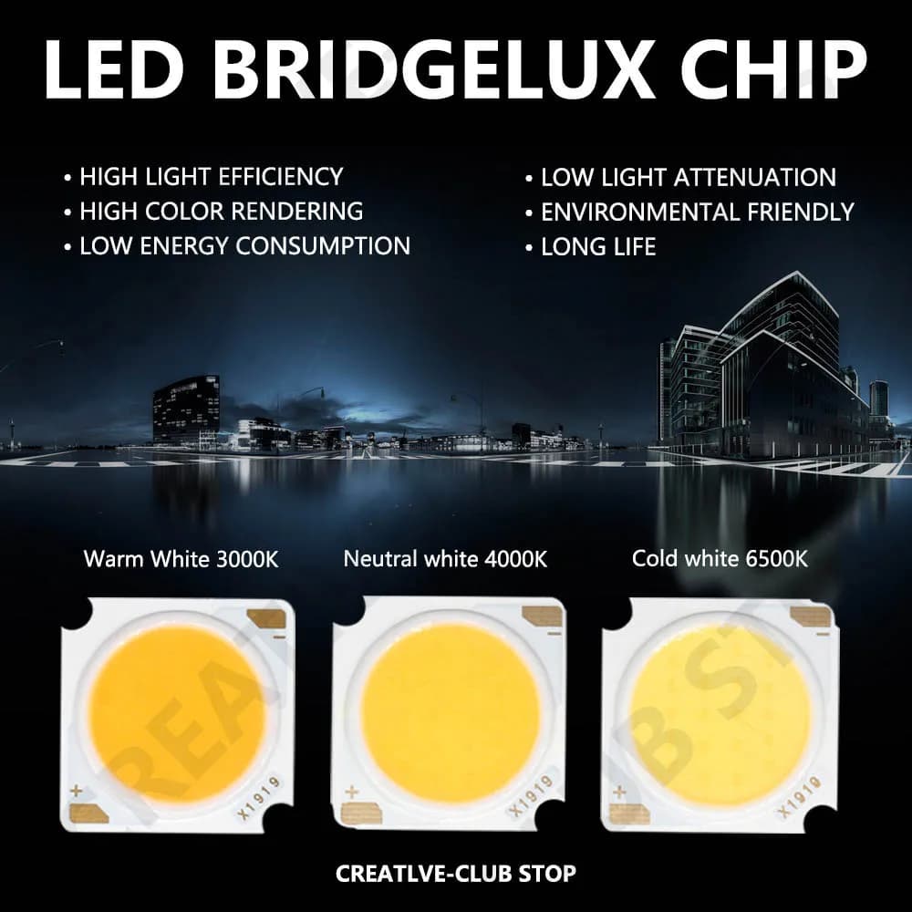 10 pièces 1919 10W 20W 30W 40W LED COB puce Diode électroluminescente importée Bridgelux puce de cri