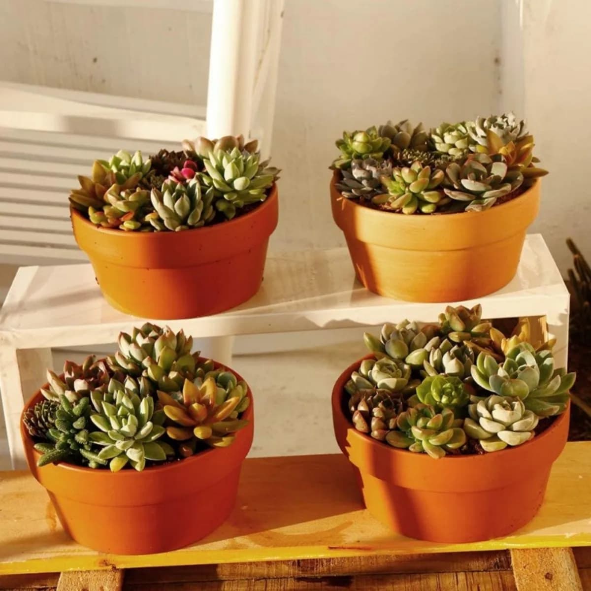Pots de fleurs en terre cuite, 3.5 "x 2.2", 6 pièces, jardinière en argile et poterie avec trou de D