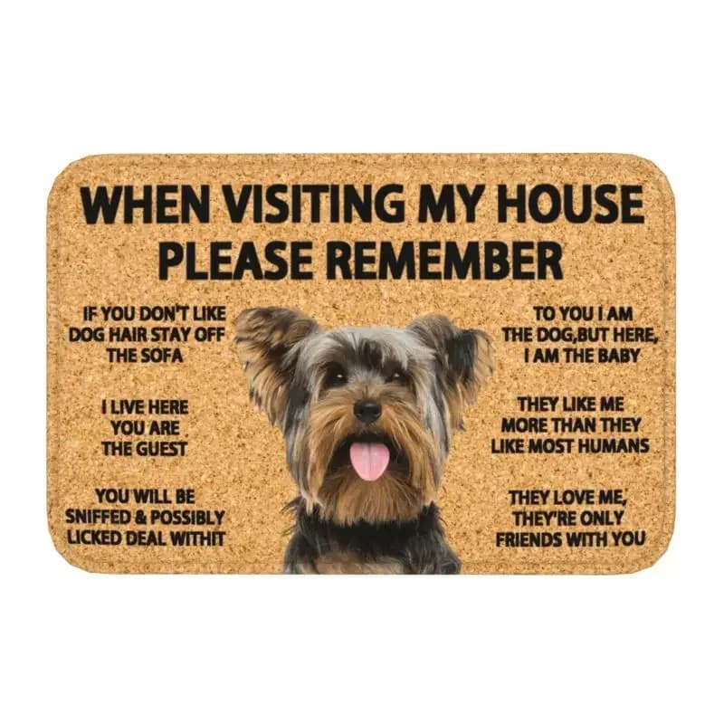 Veuillez rappeler Border Collie chiens maison règles paillasson tapis anti-dérapant cuisine bain Gar