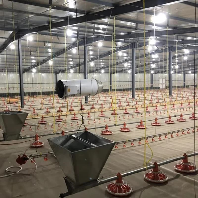 Machine d'élevage de poulet à griller, maisons de ferme de volaille, ligne d'abreuvoir d'alimentatio