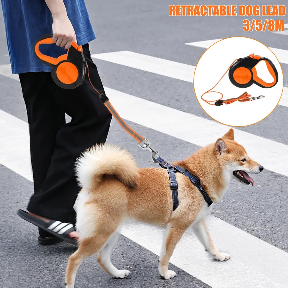 Laisse Rétractable pour Petit et Grand Chien, Collier à Roulette, Accessoires Réglables et Durables,