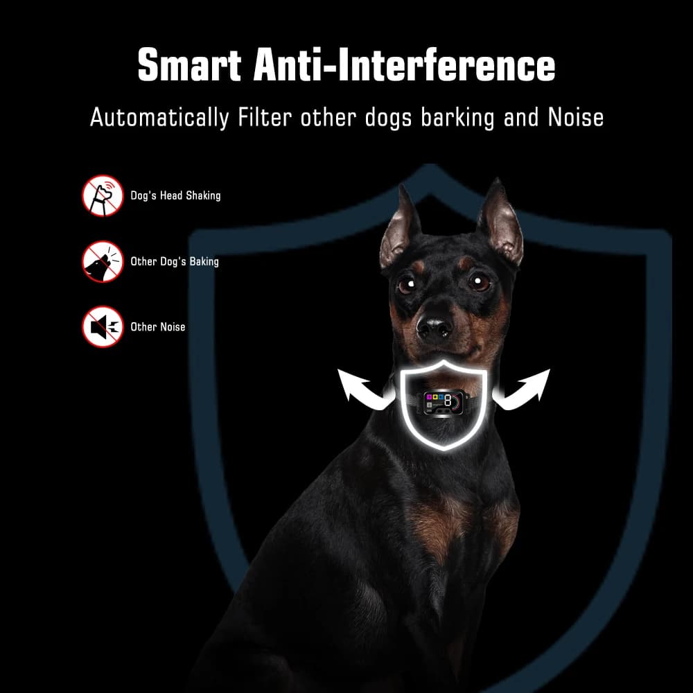 Collier anti-aboiement intelligent pour chiens, collier anti-aboiement pour grands, moyens et petits