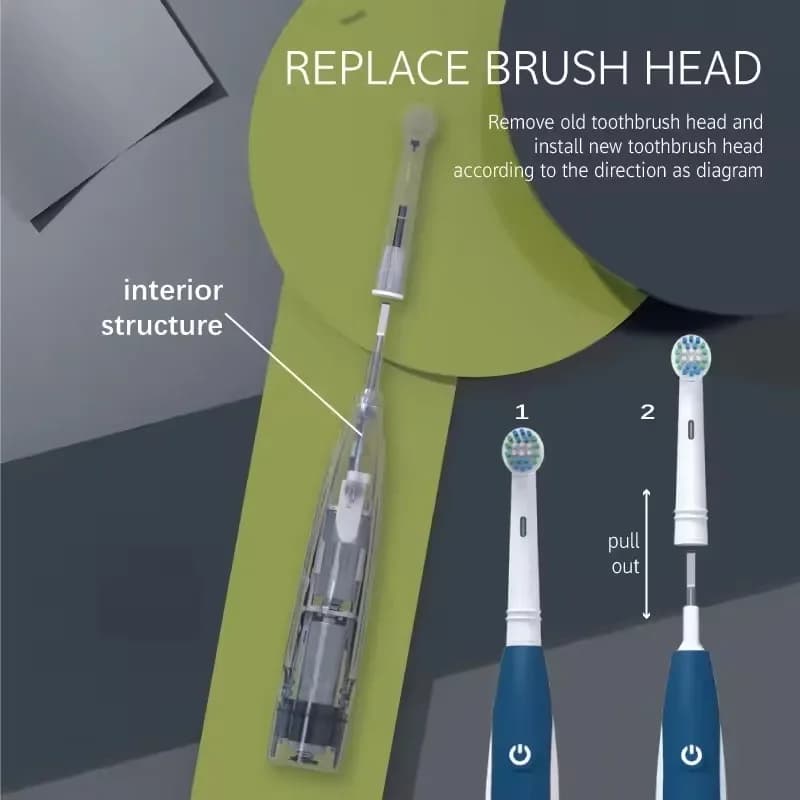 Brosse à dents électrique sonique arrondie 3D, brosse à dents vibrante, Rotation, soins des gencives