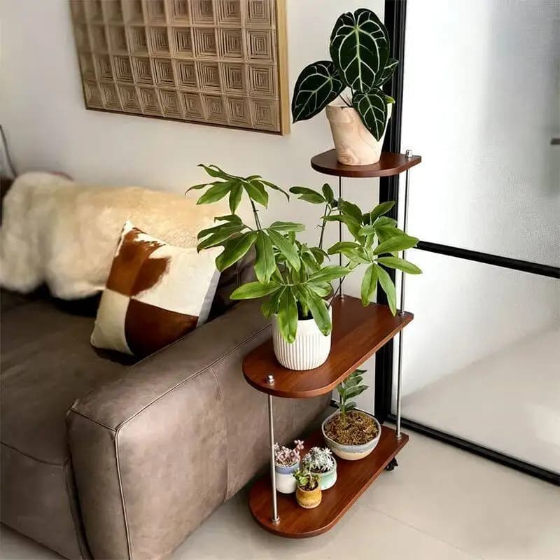 Étagère à plantes d'angle en bois pour jardin intérieur, étagère à plantes à plusieurs niveaux pour 