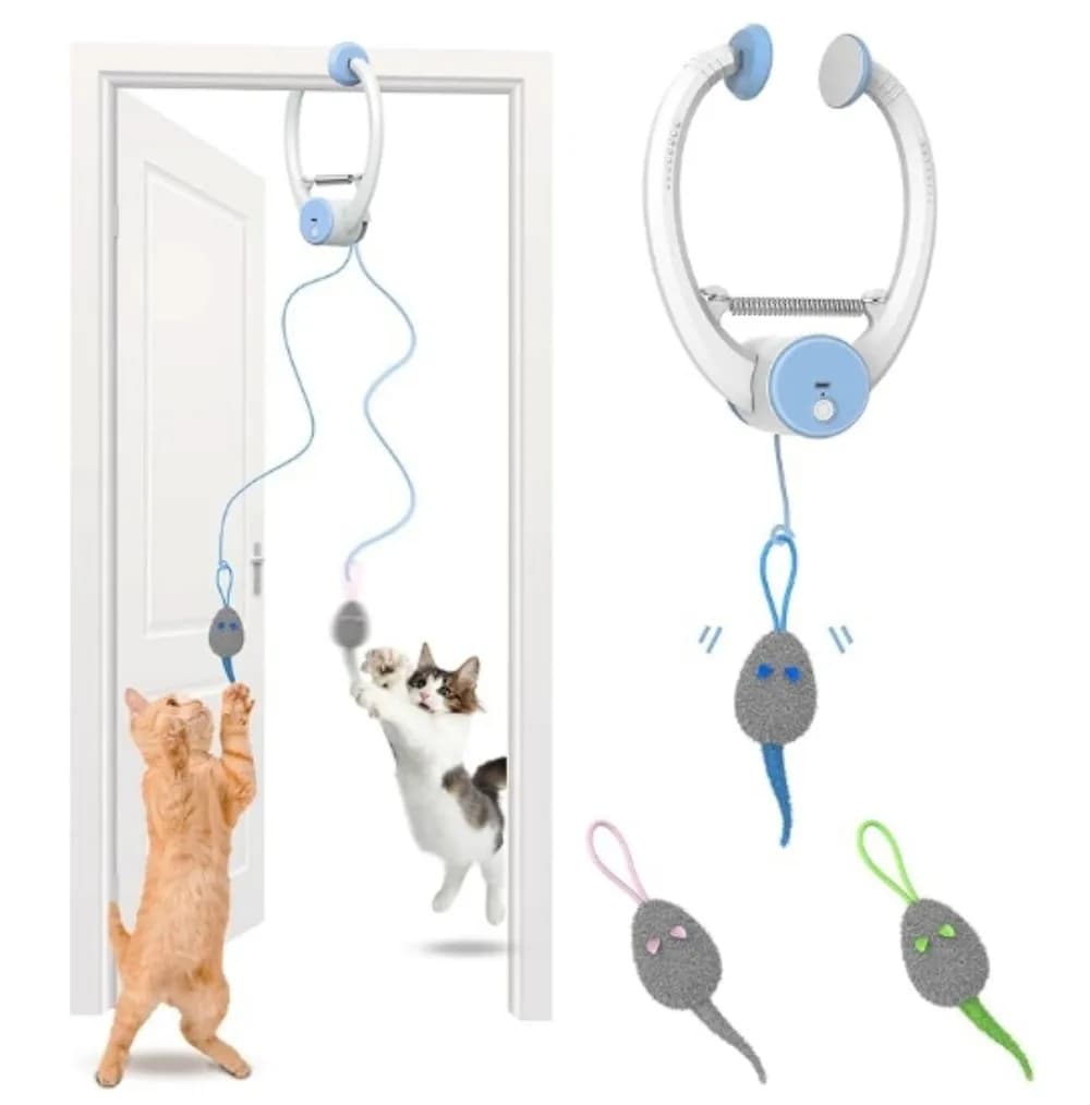 Jouets pour chat, disque collant, porte suspendue élastique, corde longue, accessoires pour chat, jo