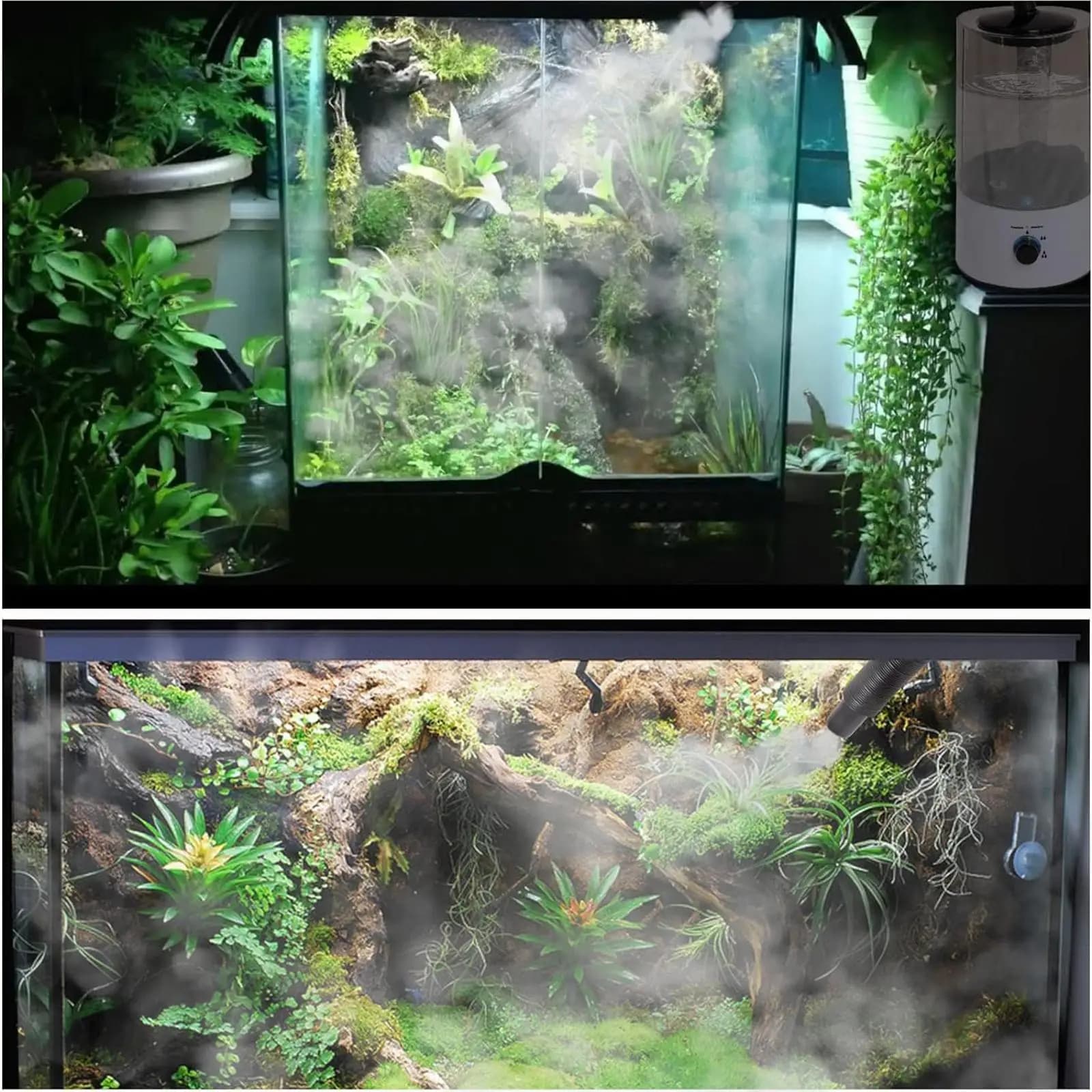 Humidificateur pour reptiles 4L, brumisateur de Terrarium, arrêt automatique, empêche la course à se