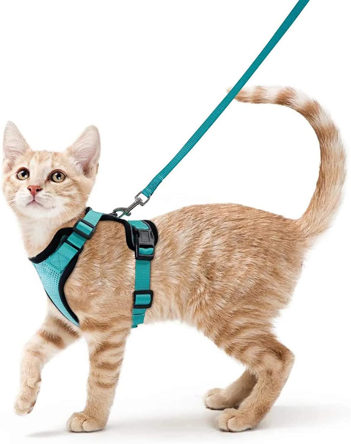 Harnais et laisse pour chat pour la marche, harnais de gilet doux et réglable anti-fuite pour chats,