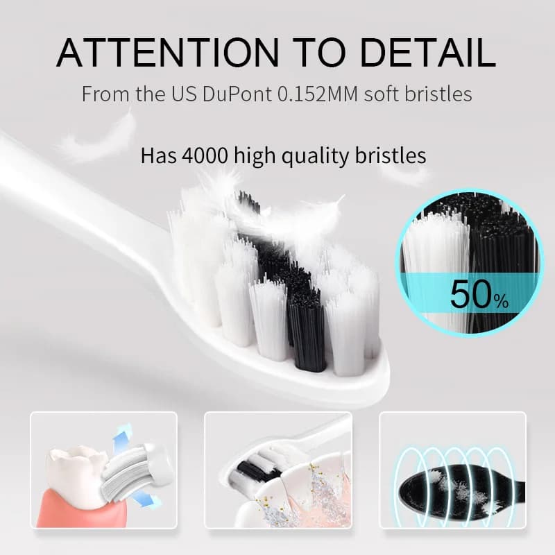 Têtes de rechange pour brosse à dents électrique Seago, pour SEAGO S2/S5/SX/S10/SG972/SG2701/SG2752/