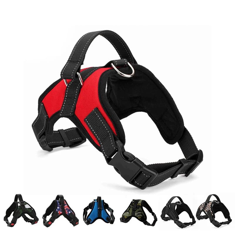 Harnais pour chien gilet à dégagement rapide harnais pour chiot en Nylon matériau respirant harnais 