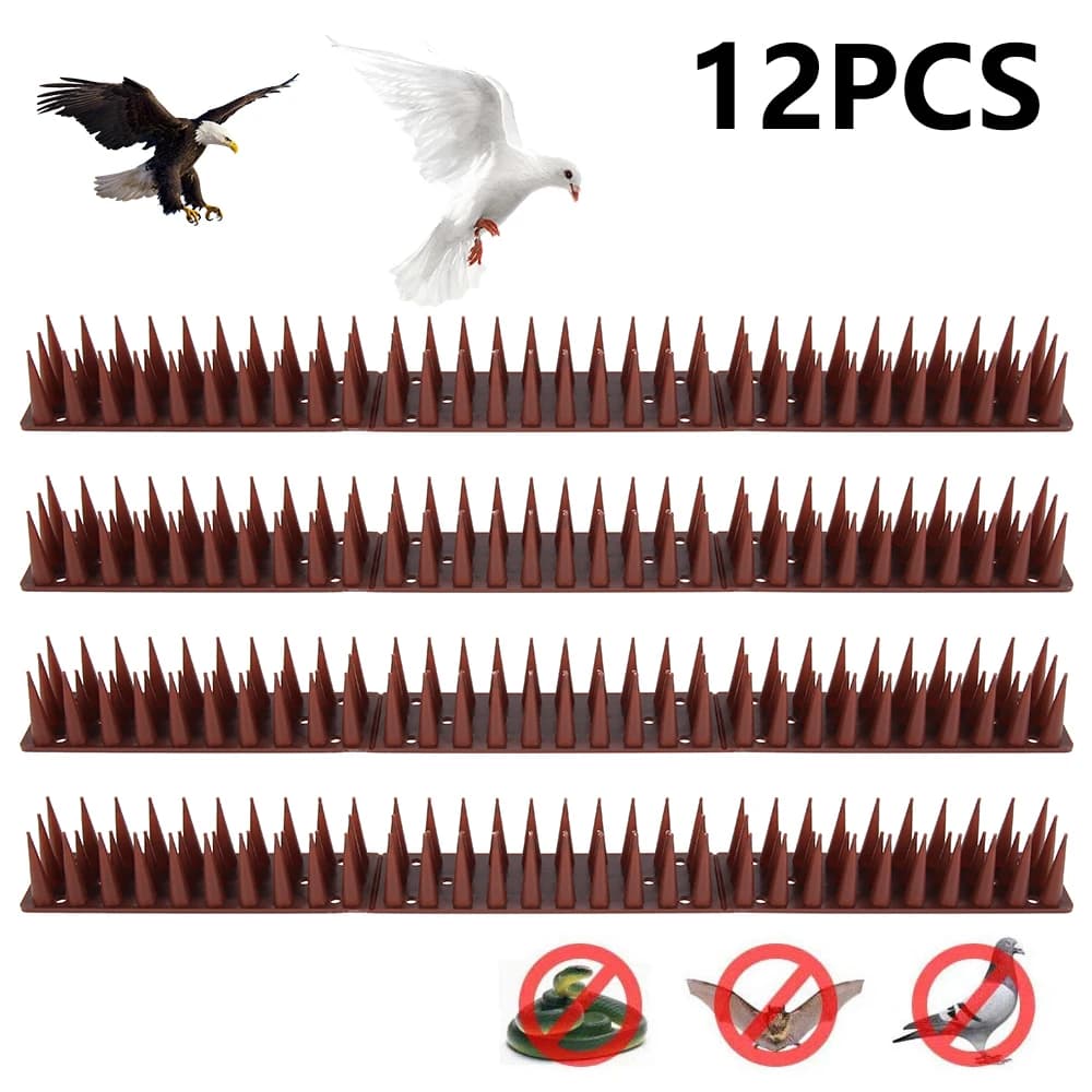 Pointes murales de clôture, 12 pièces, pointes de dissuasion d'oiseaux, Anti-cambriolage, Anti-escal