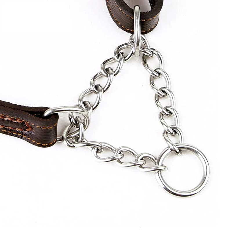 Benepaw Martingale collier en cuir sans traction Anti-fuite collier de chien d'entraînement chaîne p