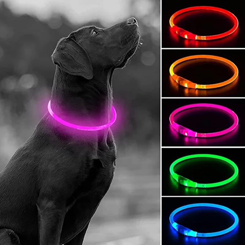 Collier de chien Led Usb collier de Charge lumineux de nuit pour chien de compagnie Led sécurité noc