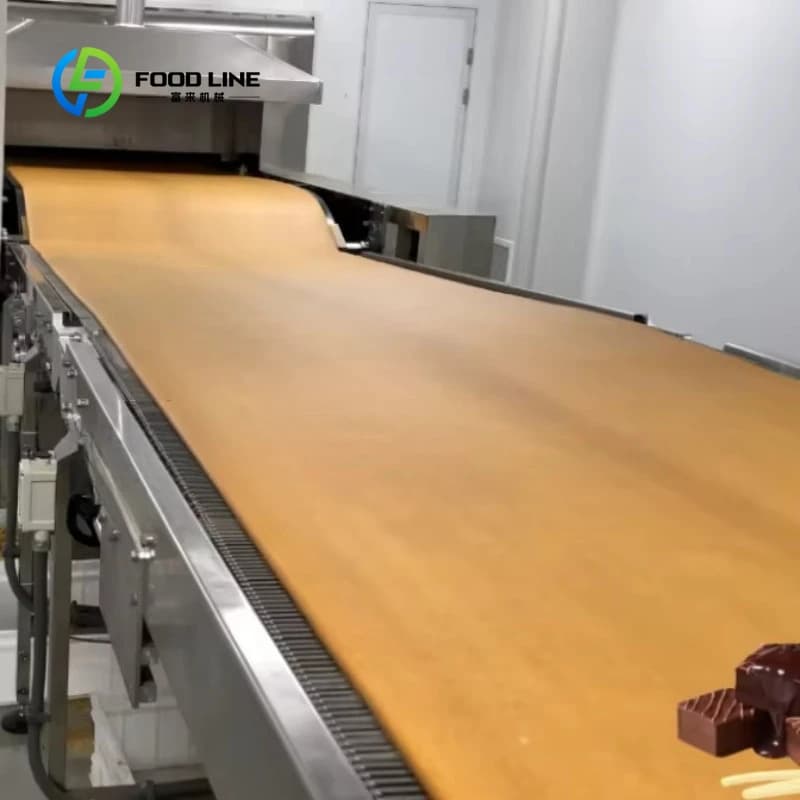 Ligne de production de gâteaux au chocolat entièrement automatique industrielle personnalisée de 550