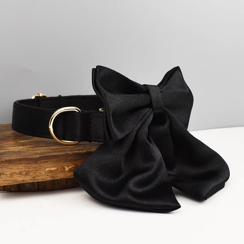 Accessoires pour animaux de compagnie : Ensemble collier, laisse et harnais en polyester soyeux de l
