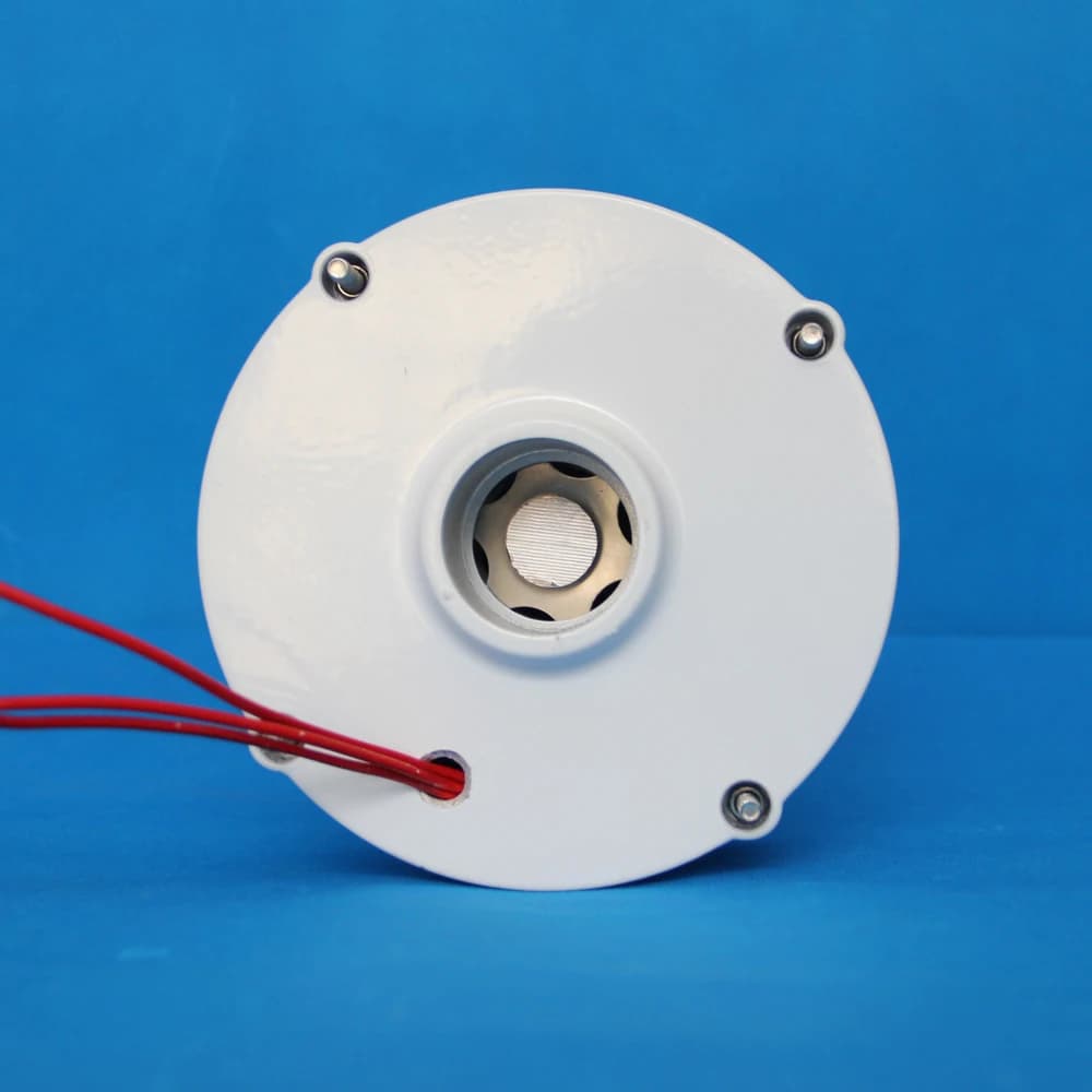 Générateur d'aimant permanent à 3 phases, 3kw, 5kw, 6kw, 12V, 24V, 48V, Gearlesse, AC Alt, avec rédu