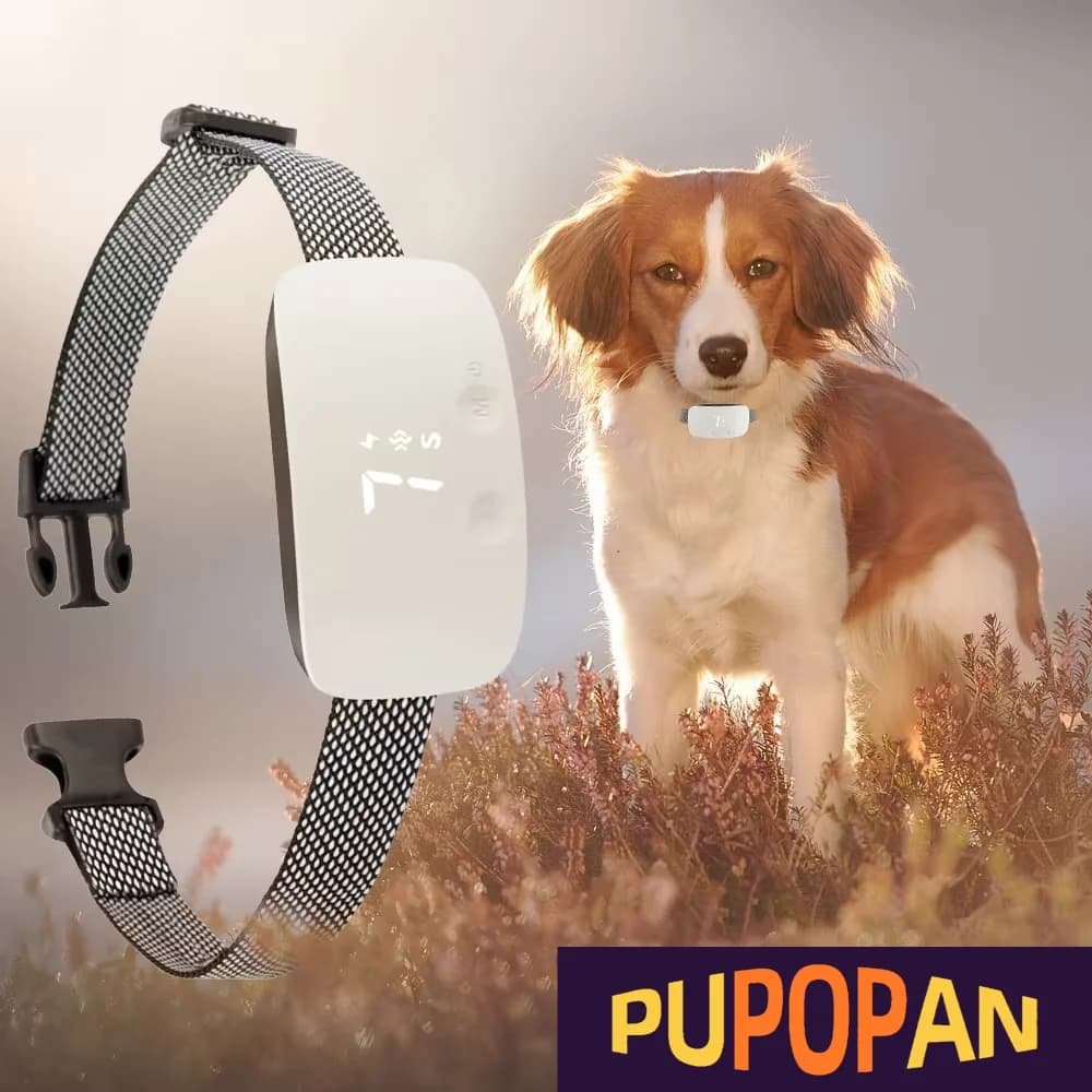 Collier intelligent anti-aboiement pour chien, collier d'entraînement automatique avec 3 modes, son,