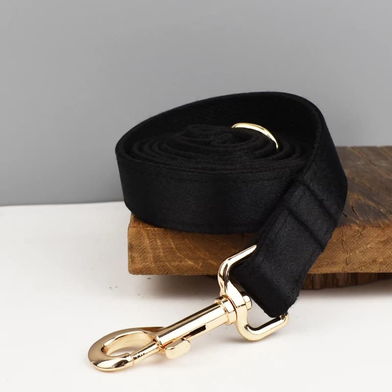 Accessoires pour animaux de compagnie : Ensemble collier, laisse et harnais en polyester soyeux de l