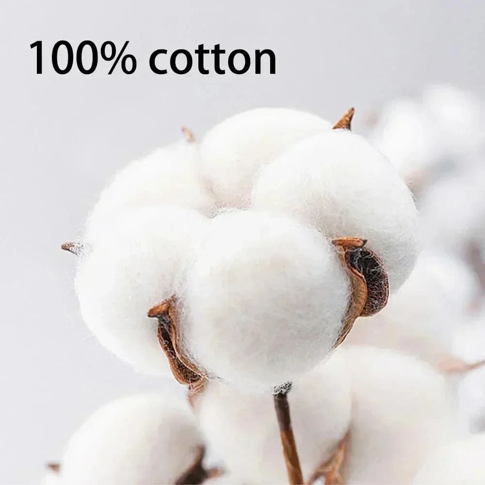 Citations intéressantes de chemises pour passionnés de café, manches courtes d'été en pur coton pour