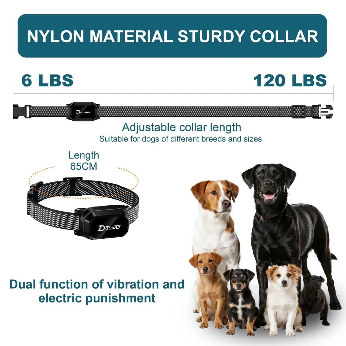Collier de dressage numérique pour chien, 800m, étanche, Rechargeable, télécommande, pour animaux de