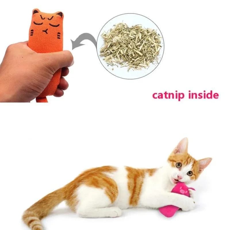 Jouet pour animaux de compagnie, son de bruissement, herbe-aux-chats, fournitures pour chats, jouets