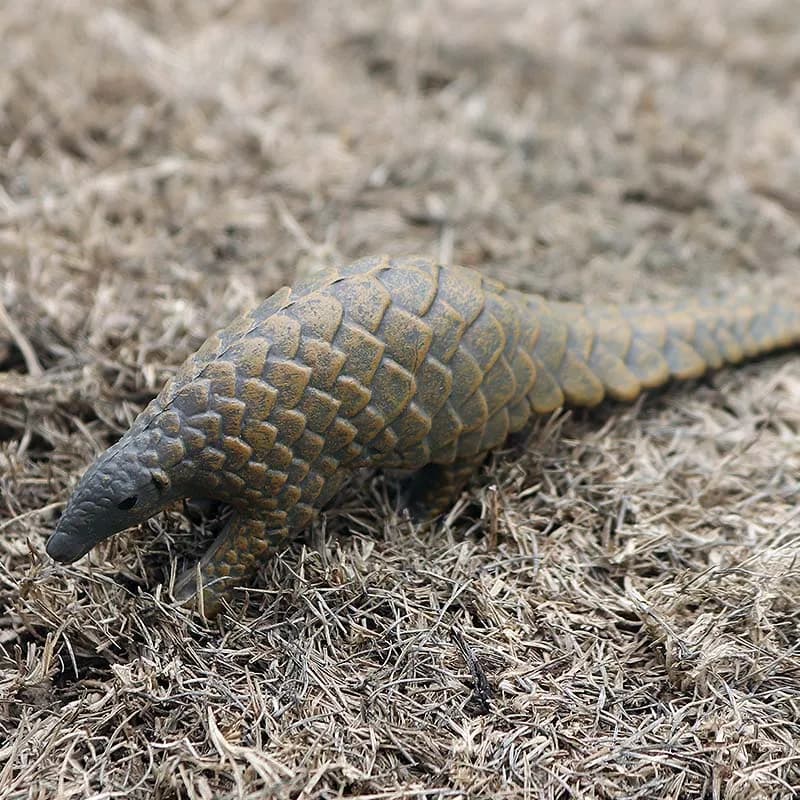 Oenux Simulation mignon forêt animaux sauvages figurines hibou Pangolin lamantin lapin modèle Miniat