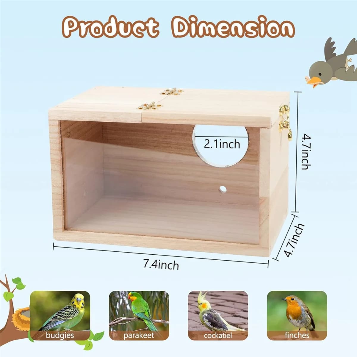 Boîte de nidification transparente pour perruche, nichoir en bois, perroquet, calopsitte, inséparabl