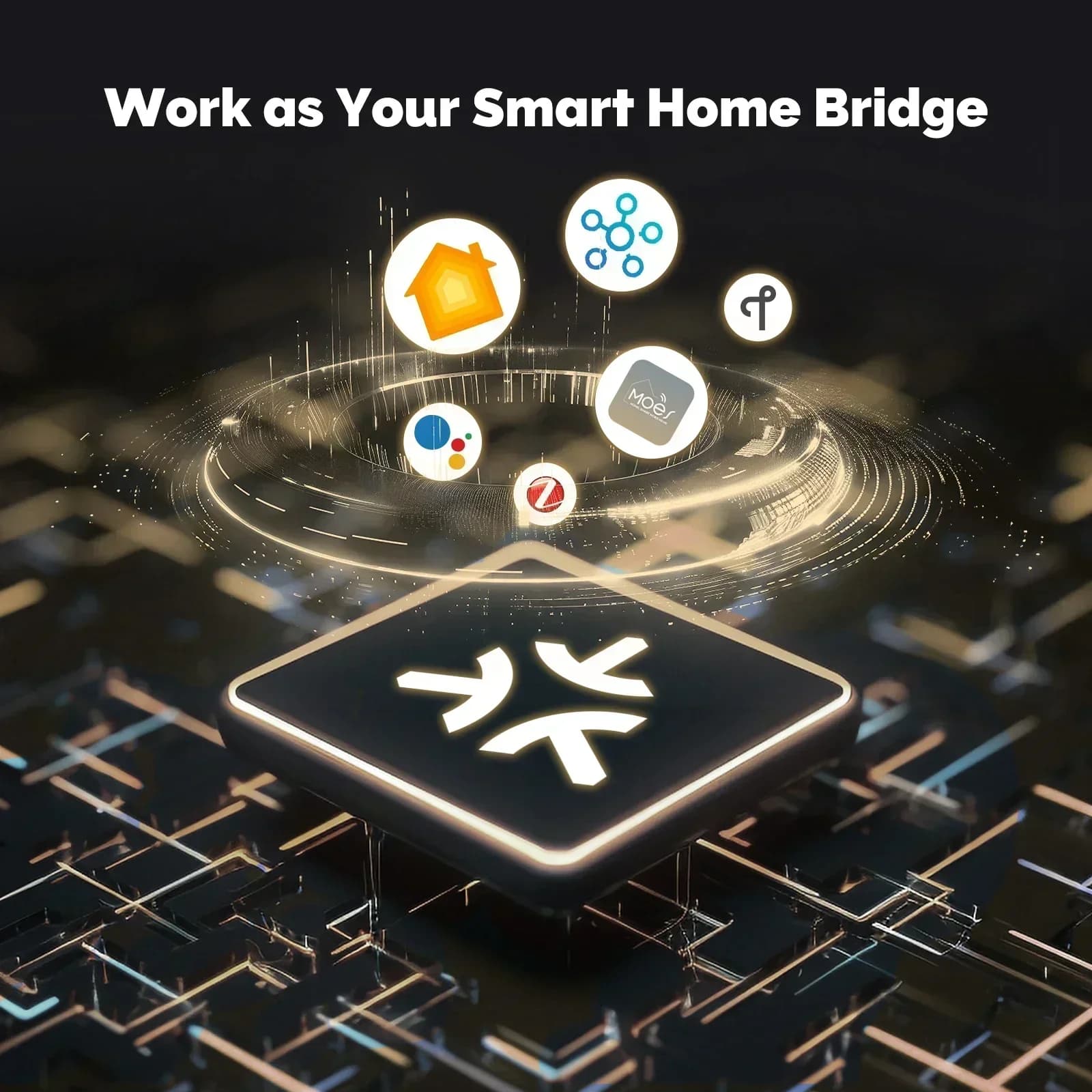 MOES Tuya Zigbee Matter fil passerelle maison intelligente pont Matter Hub prise en charge commande 