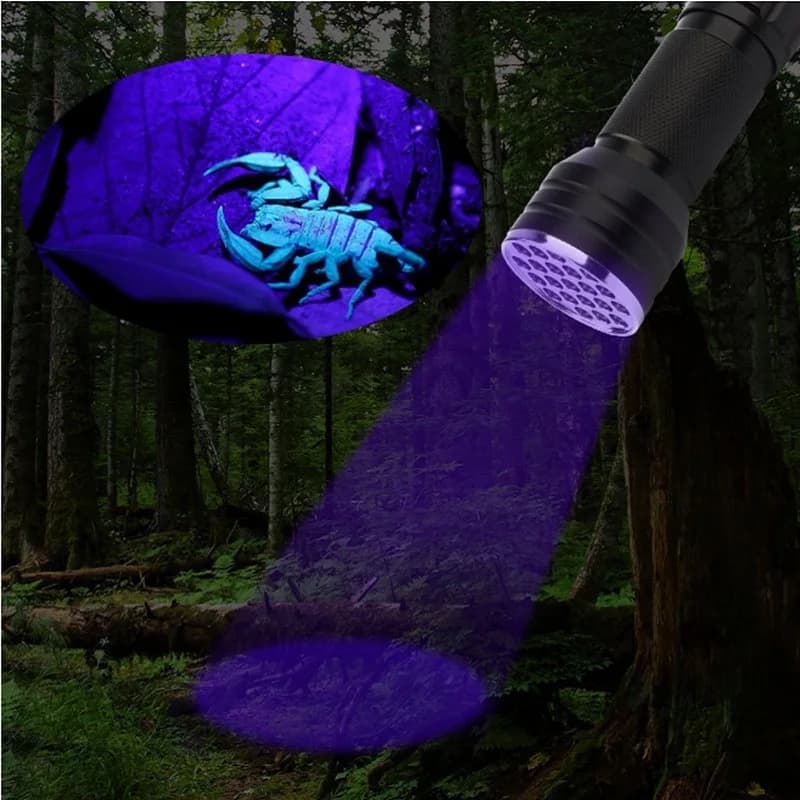 21 LED UV lampe de poche ultraviolette lumière noire 395NM Mini torche lampe Flash pour les taches d