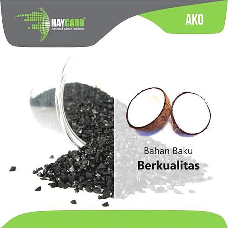 HAYCARB – filtre à eau au charbon actif, média Ultra poreux, pierre noire, 200 g