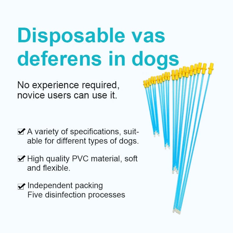 100 pièces en gros sperme canin Injection sperme déposition insémination artificielle chien de compa