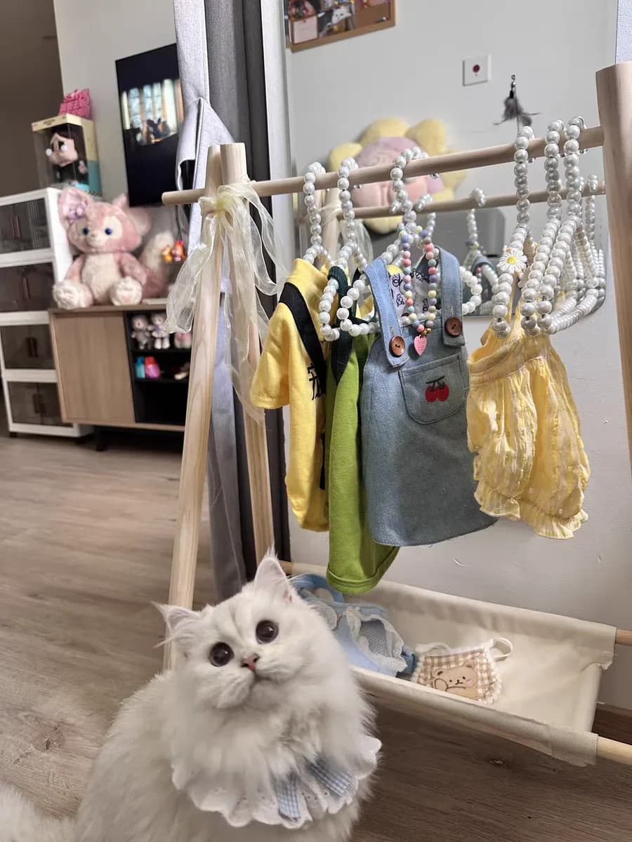 Garde-robe en bois massif pour animaux de compagnie, garde-robe pour chien, porte-manteau pour chat,