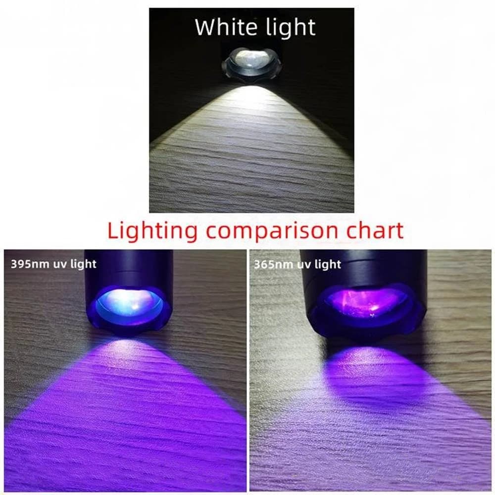 Zoom 2in1 UV 365 395nm + lumière blanche, lampe de poche d'éclairage, chargeur USB, chat, chien, Uri