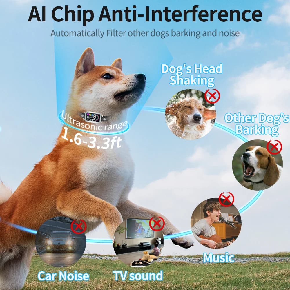 Collier anti-aboiement intelligent pour chiens de grande et moyenne, dispositif de dissuasion ultras