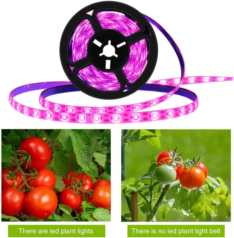 Plante lumière grandir bande LED 5V USB LED 1-5m puce LED à spectre complet pour serre fleur semis c