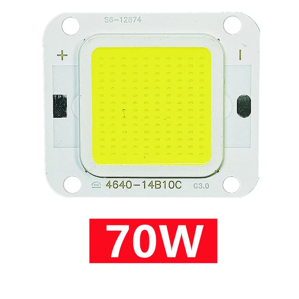 Puce LED COB 40W 20W 10W Super puissance 70W 60W 50W pour bricolage projecteur ampoules Diode LED pl