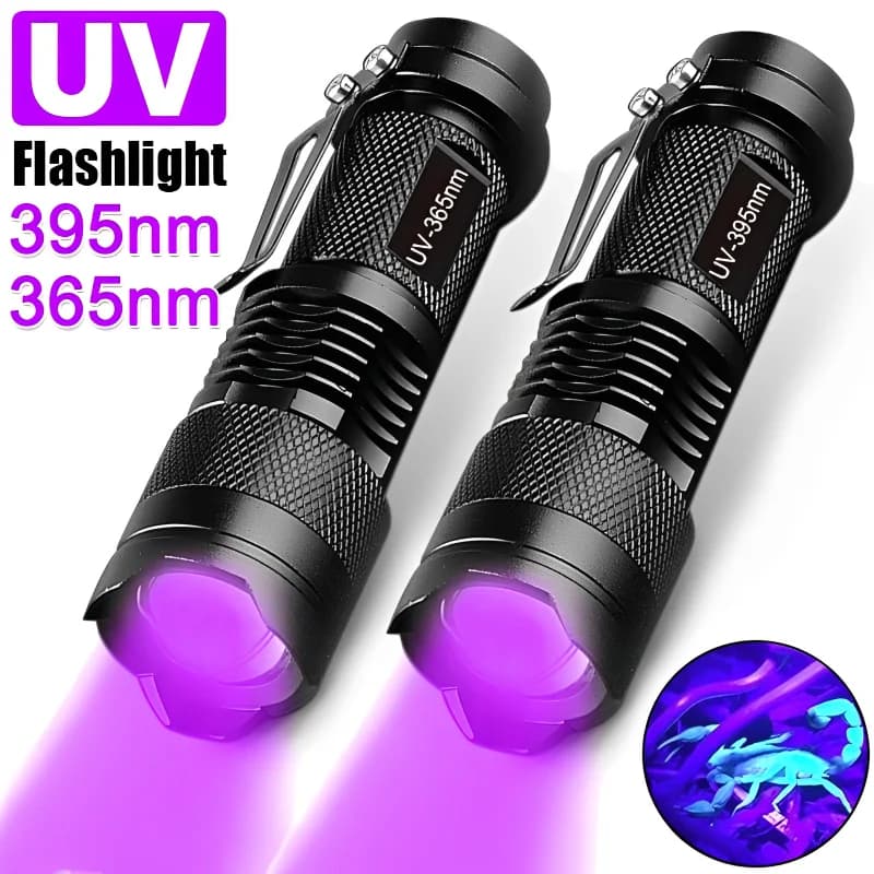 Lampe de poche UV portative à lumière noire, Mini torche lumineuse 395nm, détecteur pour chiens, tac