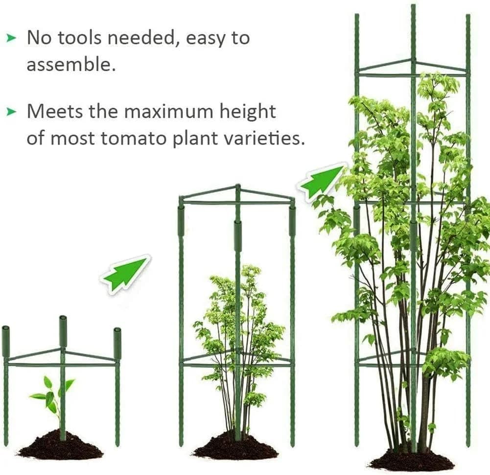 Tomates, jusqu'à 51 amarans de piquets de plantes, grilles végétales assemblées pour plantes grimpan