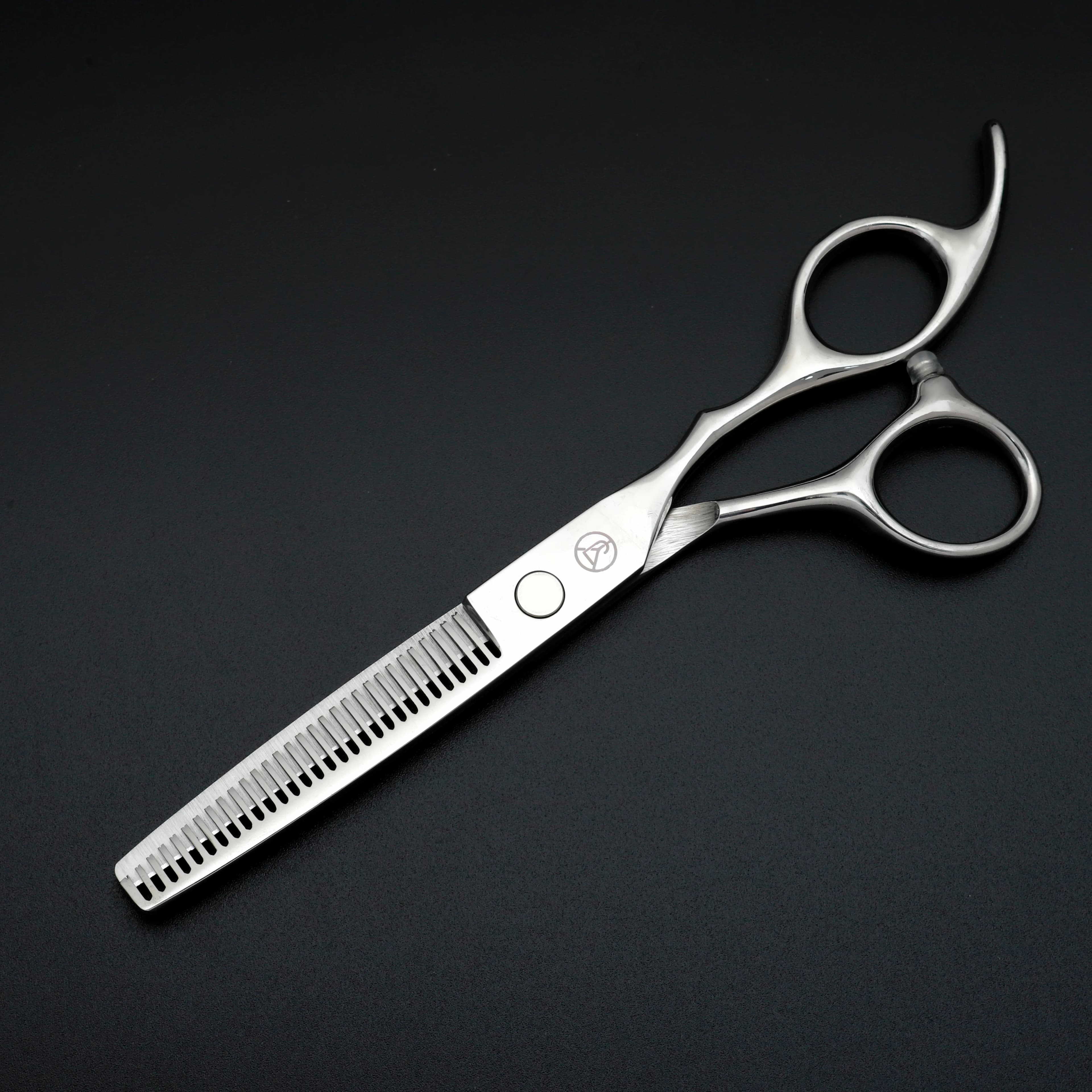 Ensemble de ciseaux de coiffure professionnels, ciseaux de coiffure en acier inoxydable japonais arg