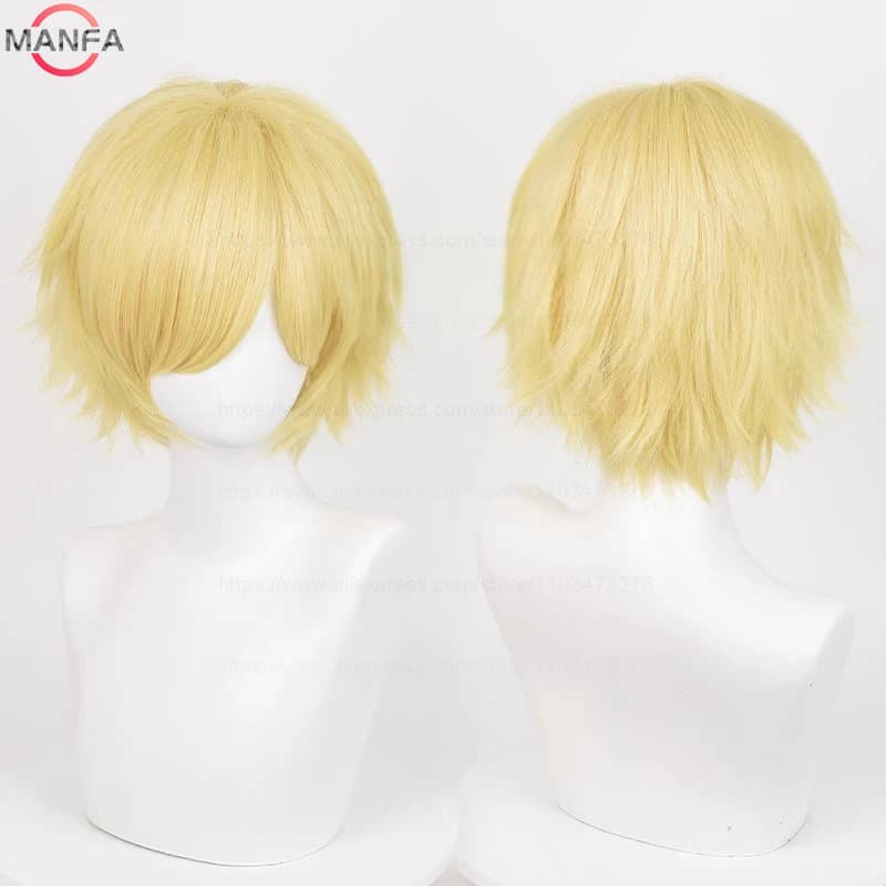 Perruque de Cosplay synthétique courte et lisse de 30cm, cheveux synthétiques résistants à la chaleu