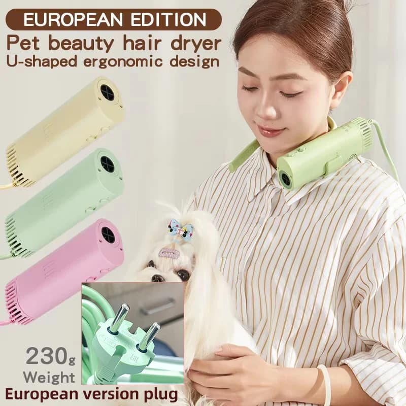 Sèche-cheveux de toilettage pour animaux de compagnie, haute puissance, silencieux, économie d'énerg