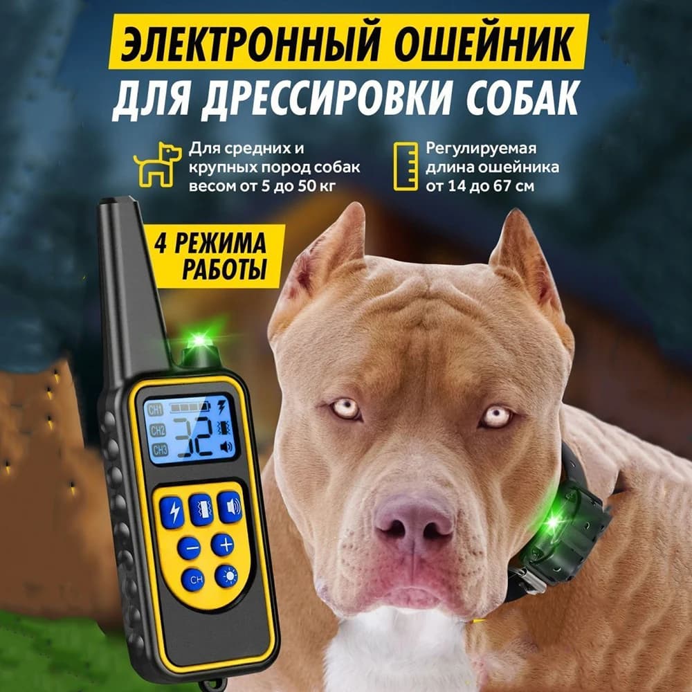 Collier de dressage pour chien avec télécommande, collier électronique aste, étanche, grande, moyenn