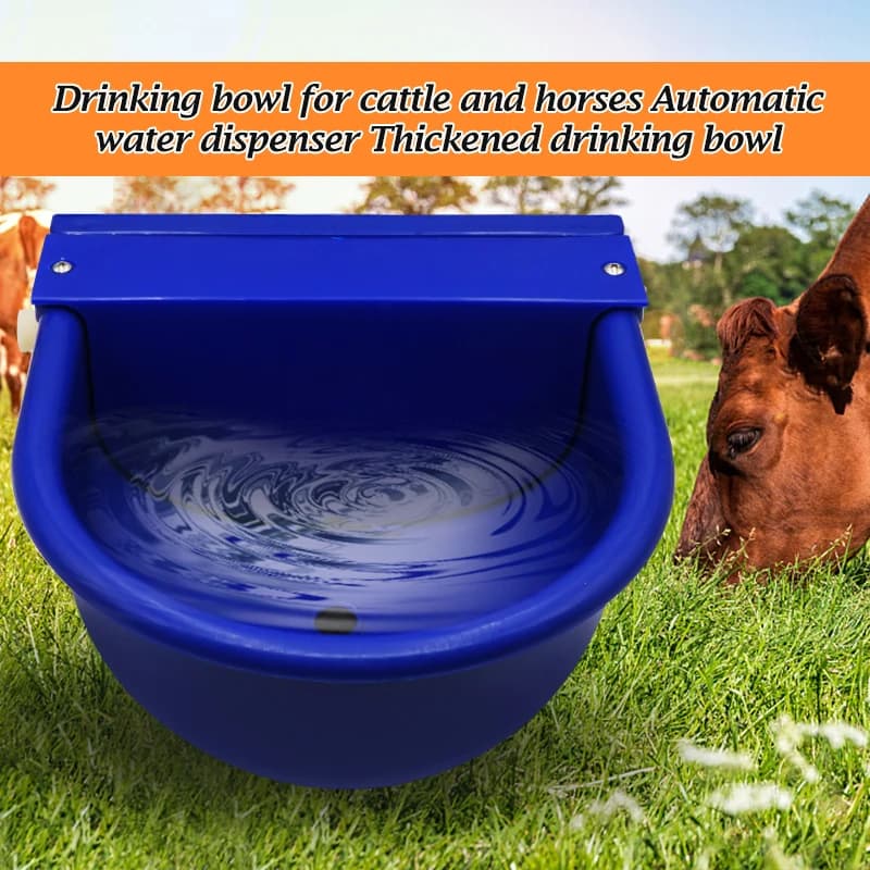 Abreuvoir automatique pour bétail et chèvres, distributeur d'eau pour chevaux et chiens, équipement 