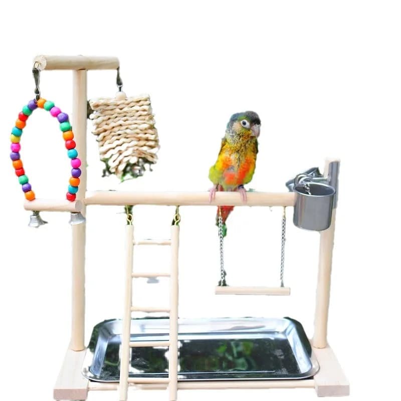 Aire de jeux pour oiseaux, support de perche, tasses d'alimentation, balançoire, échelle d'escalade,