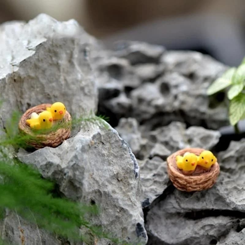Mini nid avec oiseaux, bricolage, jardin féerique, Miniatures, Gnomes, mousse, Terrariums, Figurines